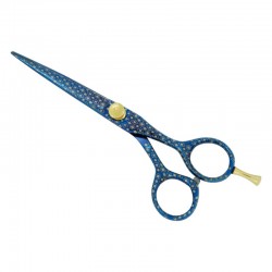 Professional Hair Scissors